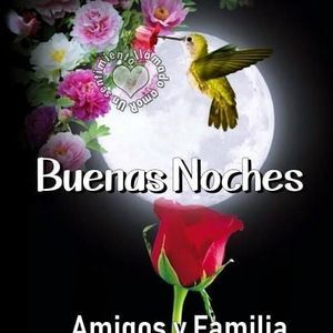 Meet your Posher, Gloria